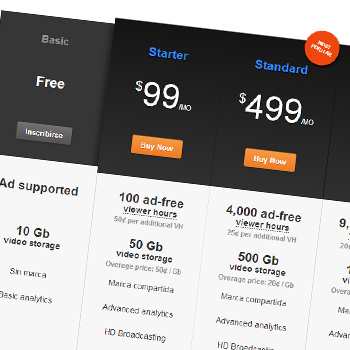 Ustream Pricing Table